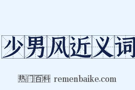 少男风近义词是什么意思的图片